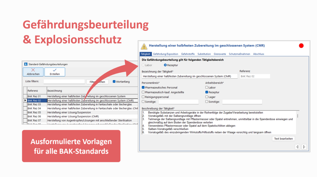 Screenshot ausformulierter Vorlagen für die BAK-Standards